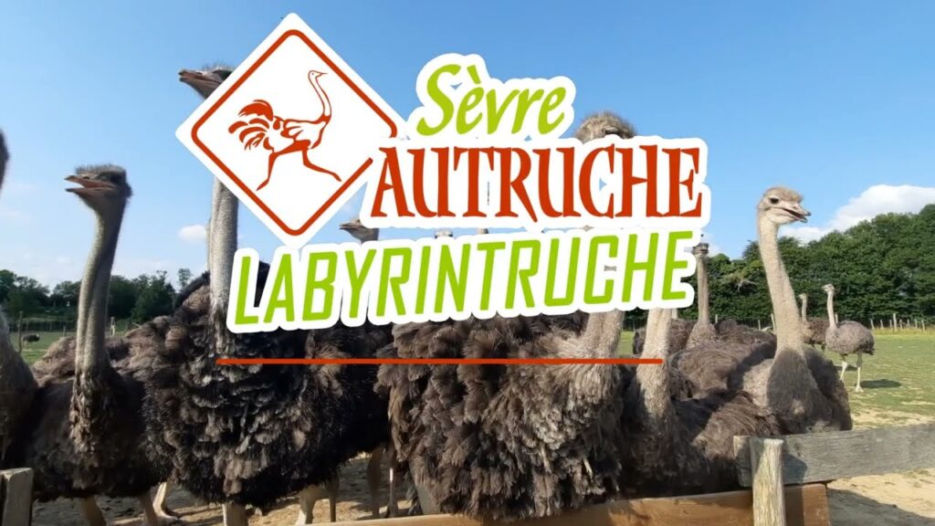 Logo Sèvre Autruche
